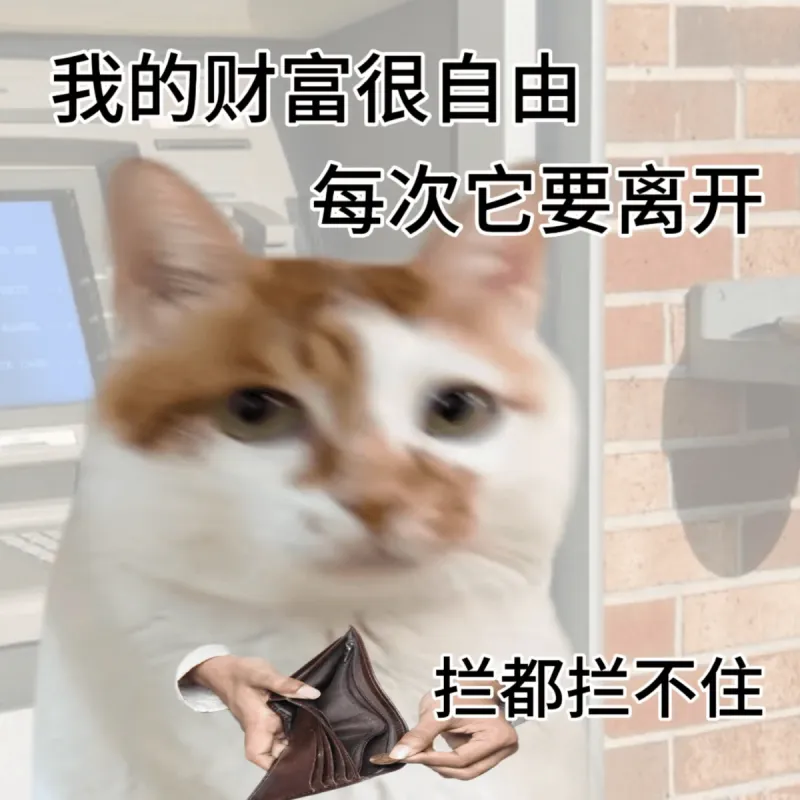 我的财富很自由每次它要离开，拦都拦不住