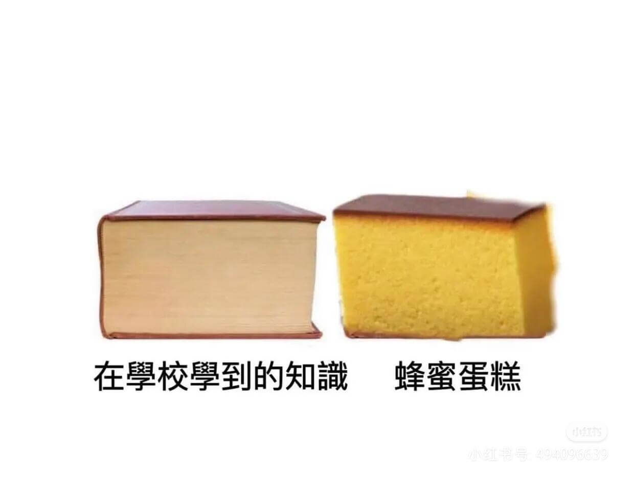 在學校學到的知識蜂蜜蛋糕小书号494096639