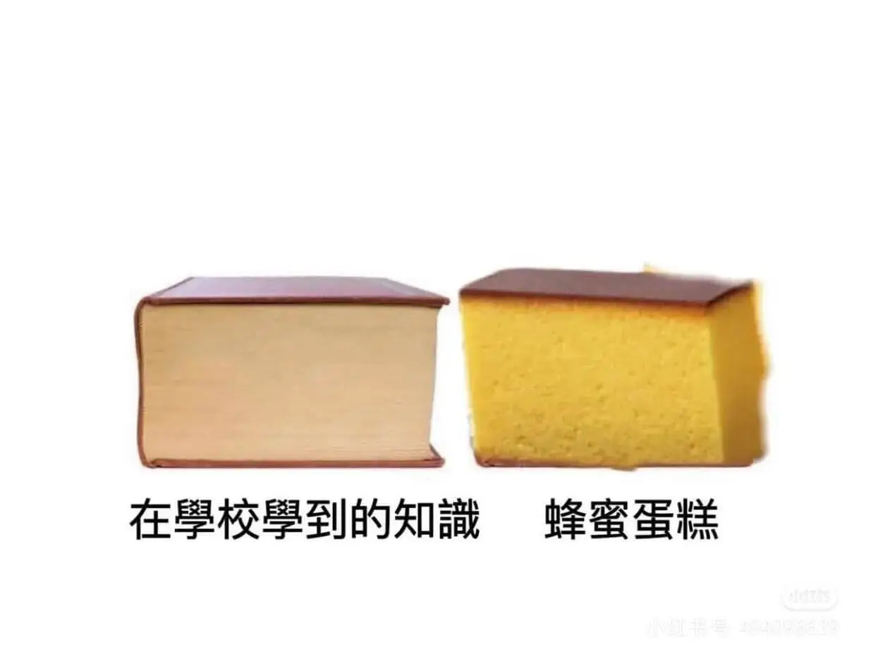 在學校學到的知識蜂蜜蛋糕小书号494096639