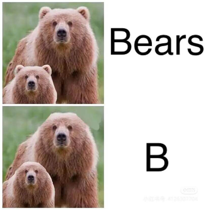 $$\text{Bears}$$$$\text{B}$$