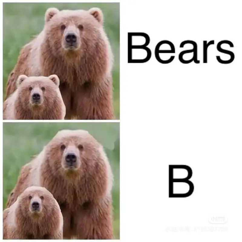 $$\text{Bears}$$$$\text{B}$$