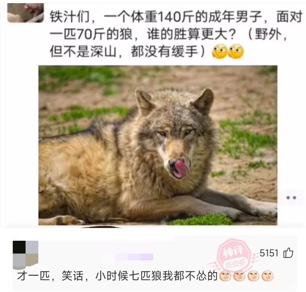 铁汁们，一个体重140斤的成年男子，面对一匹70斤的狼，谁的