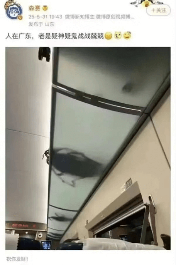 森赛十关注25-5-3119:43微博新知博主微博原创视频博