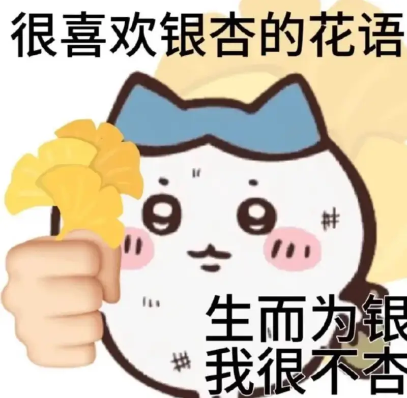 很喜欢银杏的花语生而为银，我很不杏