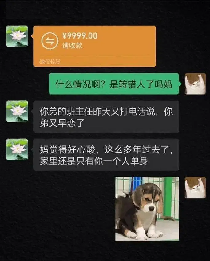 ¥9999.00请收款微信转账什么情况啊？是转错人了吗？妈妈