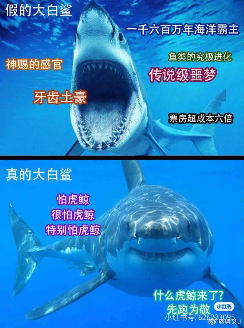 假的大白鲨一千六百万年海洋霸主鱼类的究极进化神赐的感官传说级