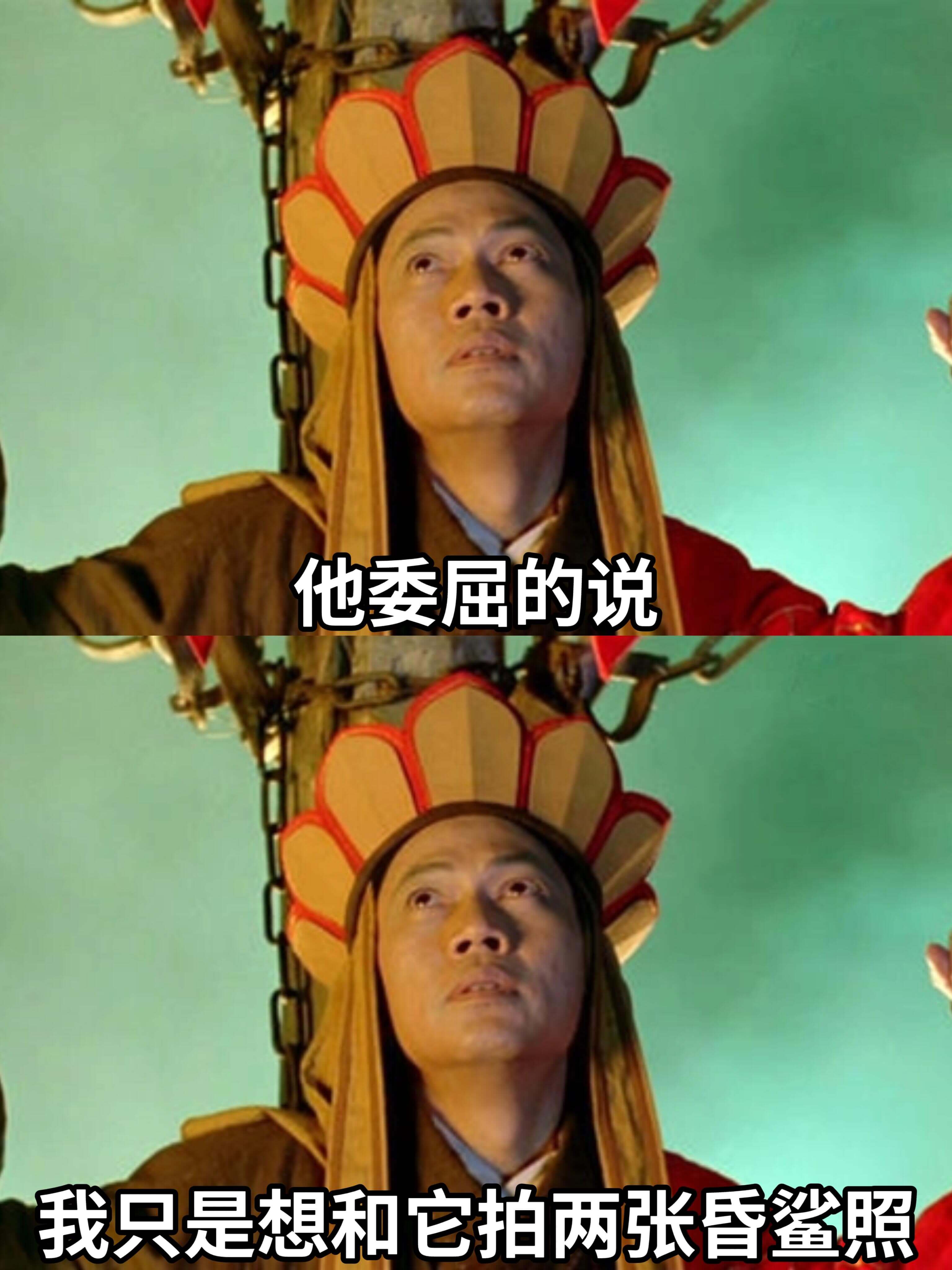 他委屈地说：我只是想和它拍两张昏鲨照。