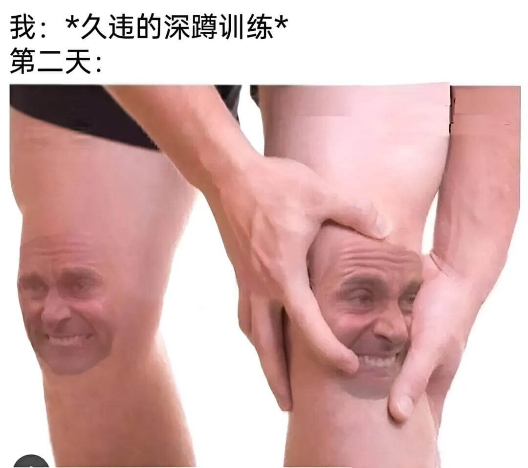 我：*久违的深鳟训练*第二天：