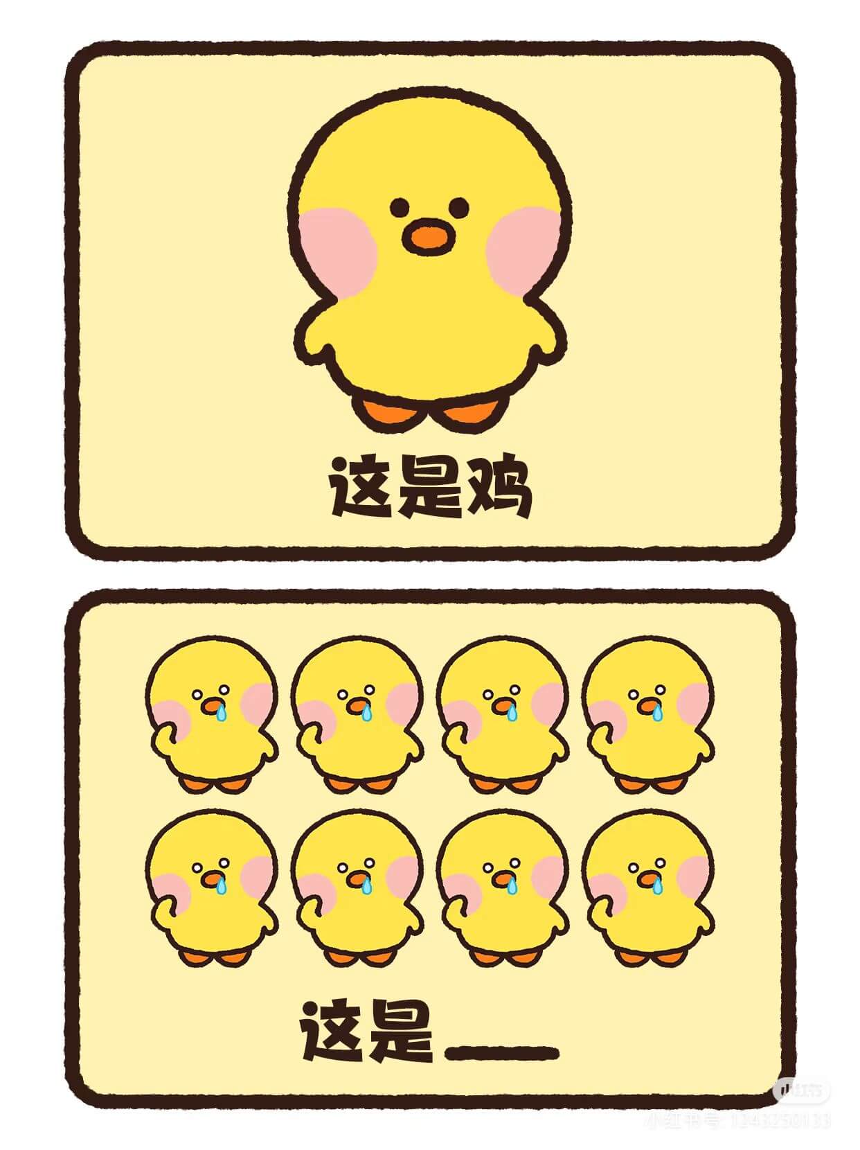 这是鸡，这是