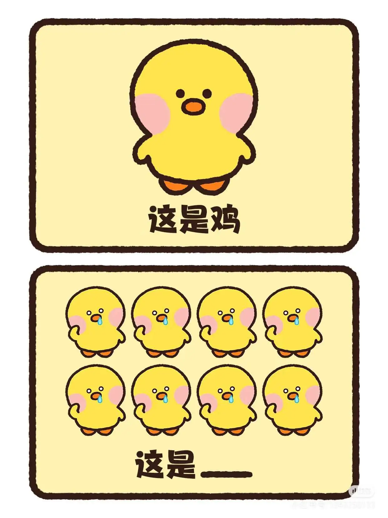 这是鸡，这是