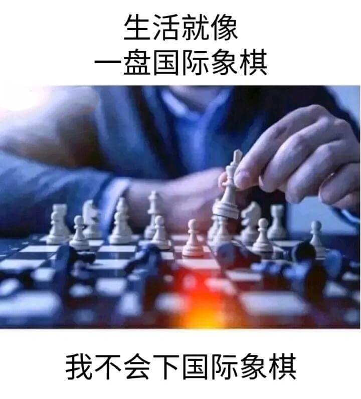 生活就像一盘国际象棋，我不会下国际象棋。