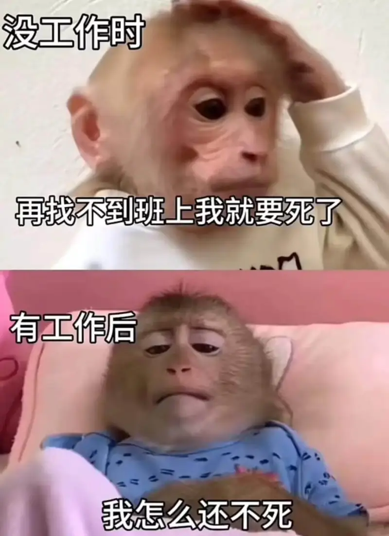 没工作时再找不到班上我就要死了有工作后我怎么还不死