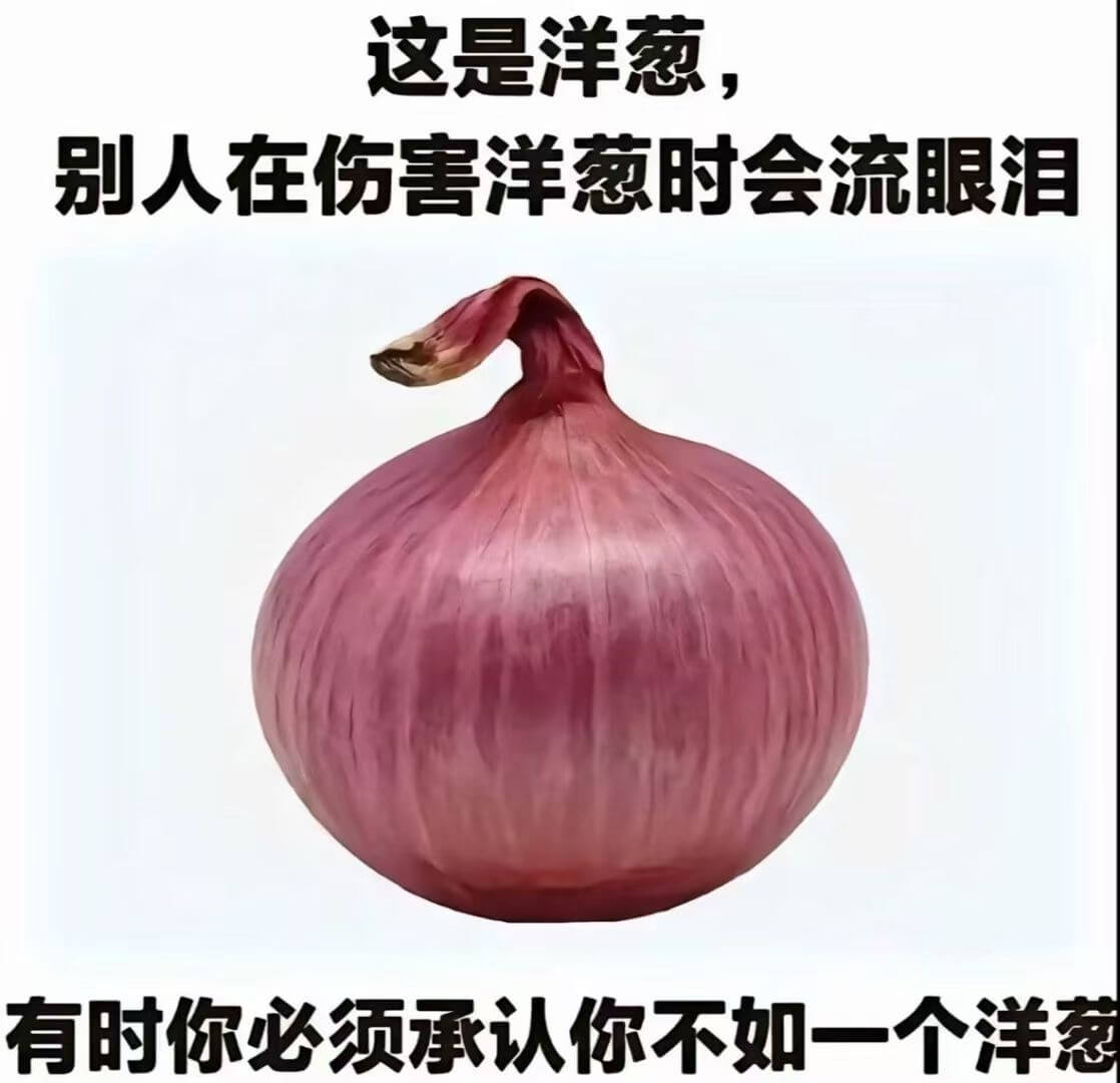 这是洋葱，别人在伤害洋葱时会流眼泪。有时你必须承认你不如一个