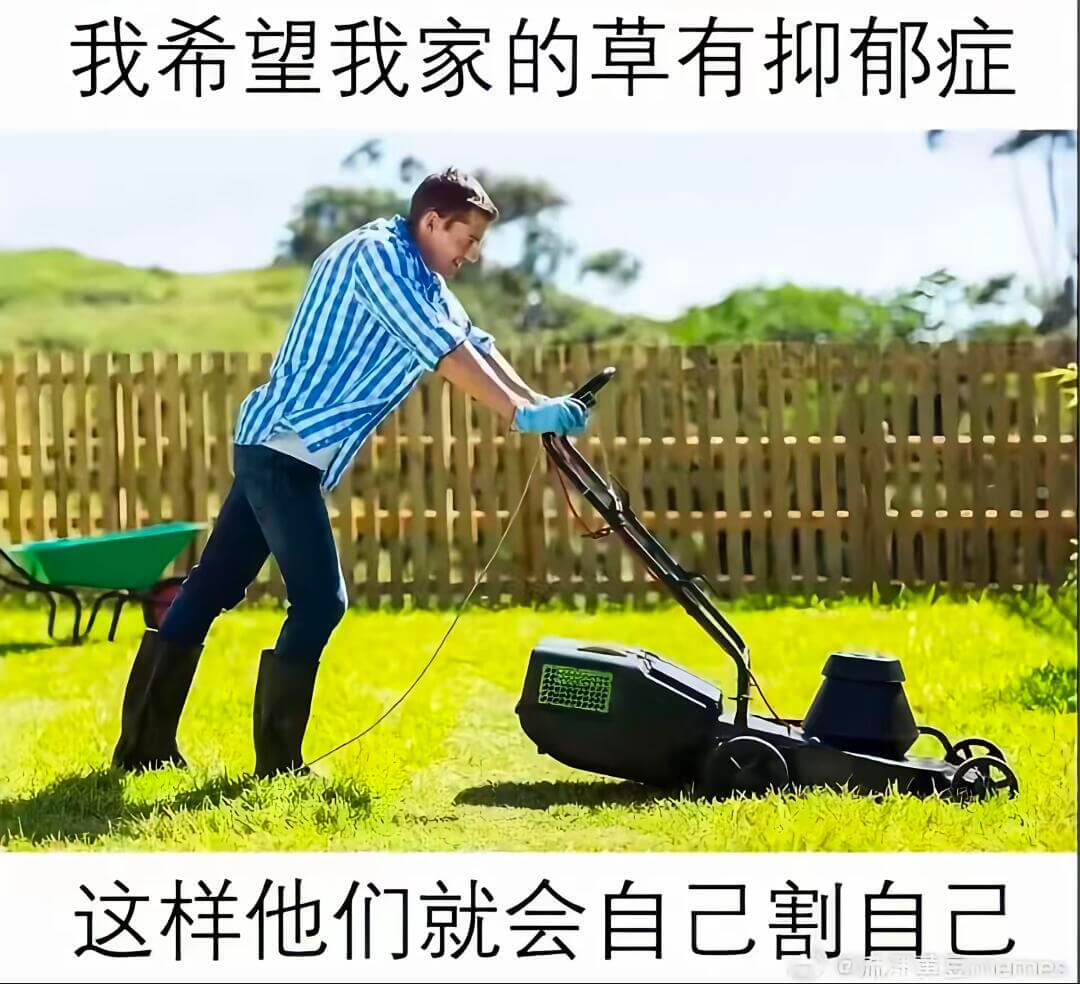 我希望我家的草有抑郁症这样他们就会自己割自己