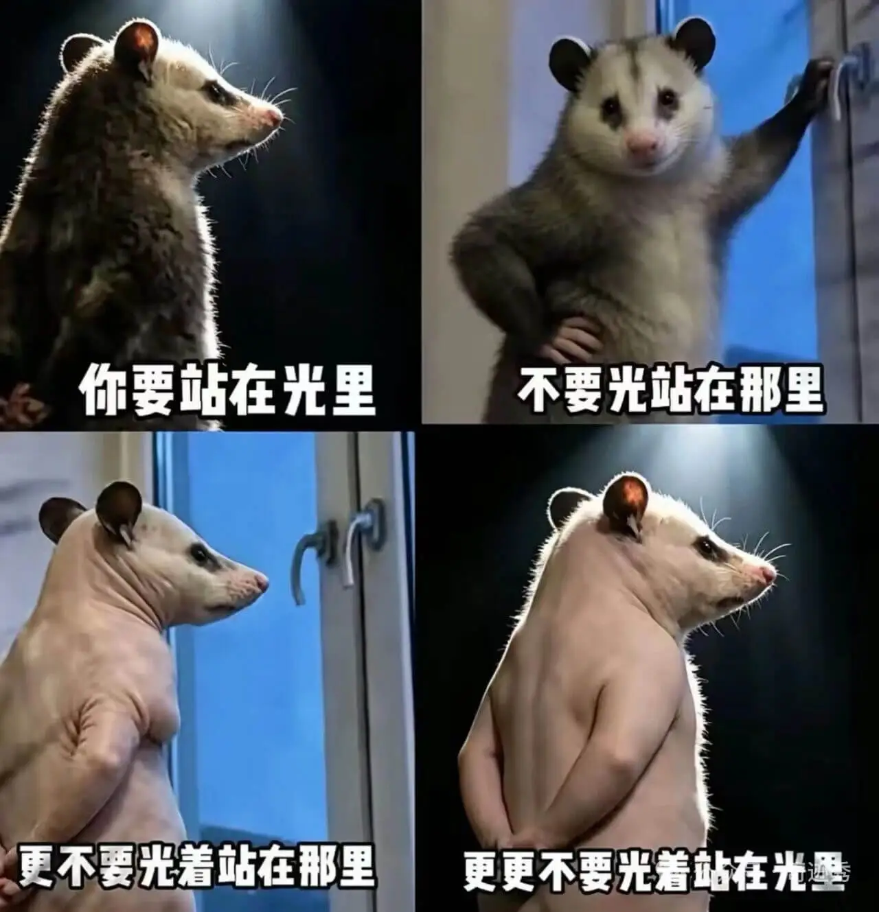 你要站在光里，不要光站在那里，更不要光着站在那里，更更不要光