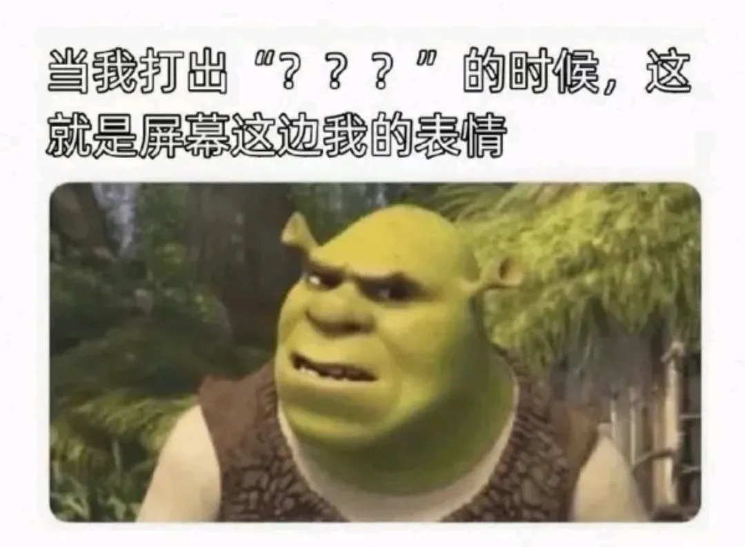 当我打出???的时候就是屏幕这边我的表情