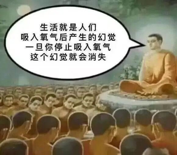 生活就是人们吸入氧气后产生的幻觉。一旦你停止吸入氧气，这个幻