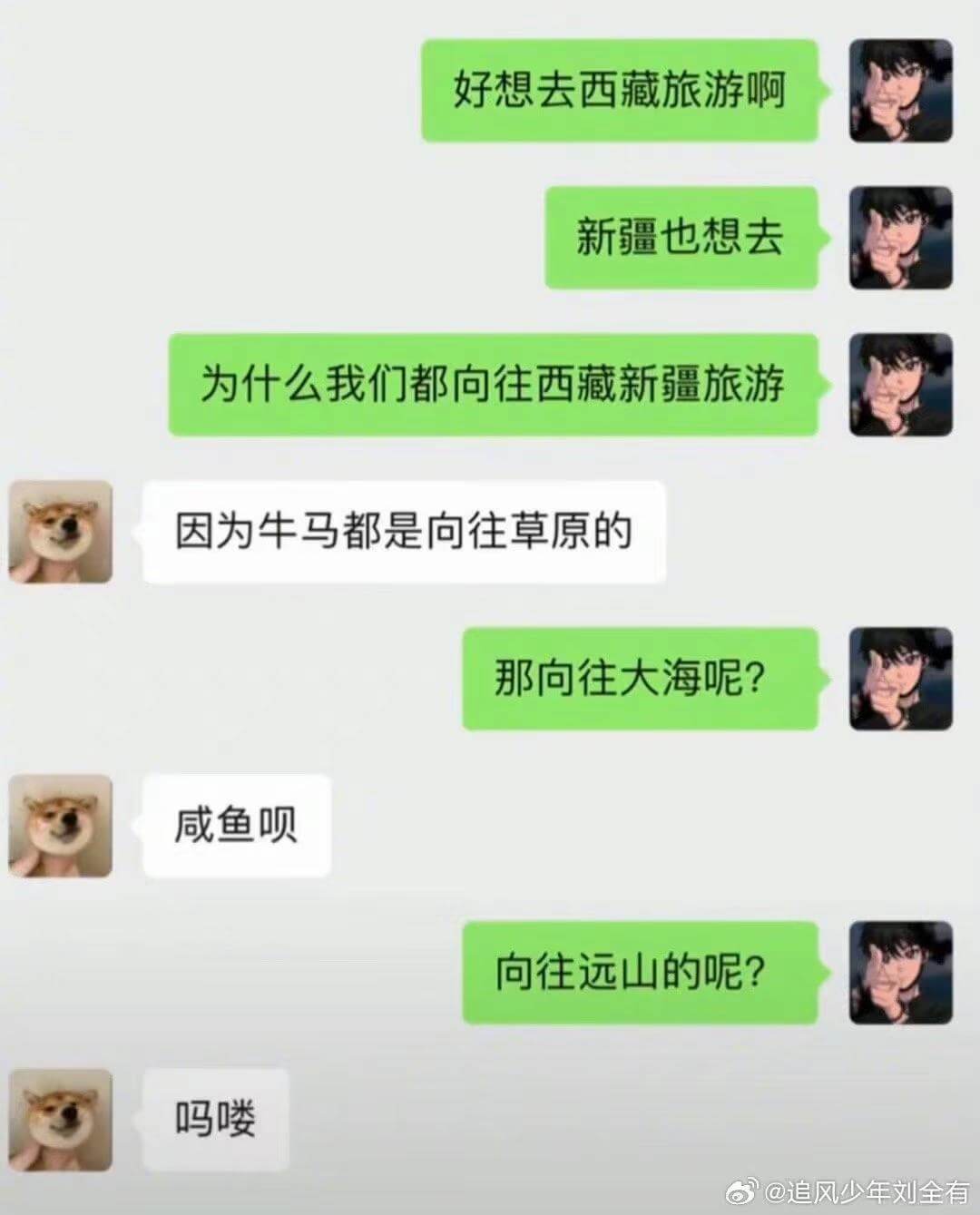 好想去西藏旅游啊新疆也想去为什么我们都向往西藏新疆旅游因为牛