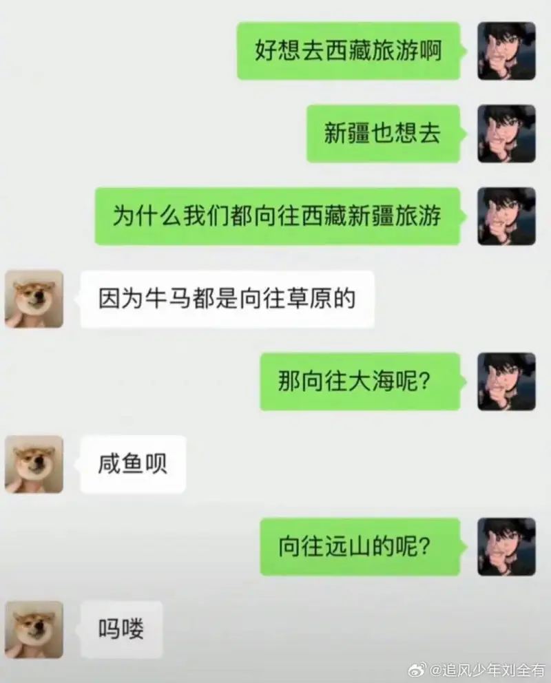 好想去西藏旅游啊新疆也想去为什么我们都向往西藏新疆旅游因为牛