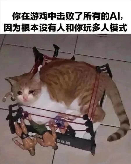 你在游戏中击败了所有的AI，因为根本没有人和你玩多人模式。