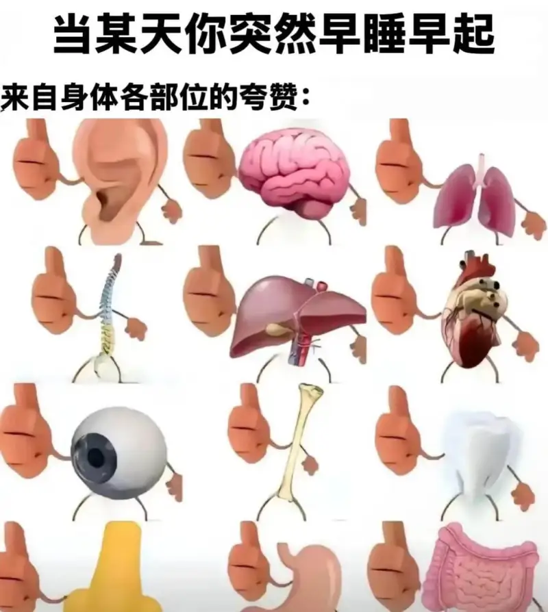当某天你突然早睡早起来自身体各部位的夸赞：