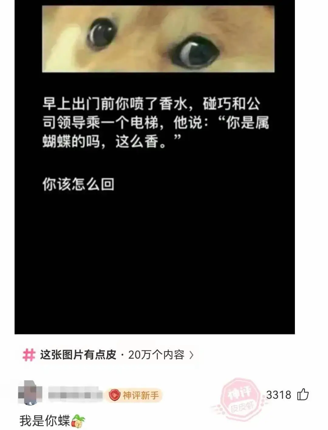 早上出门前你喷了香水，碰巧和公司领导乘一个电梯，他说：“你是