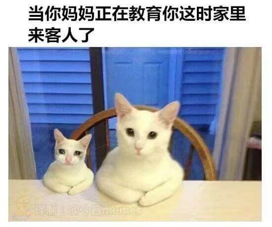 当你妈妈正在教育你这时，家里来客人了