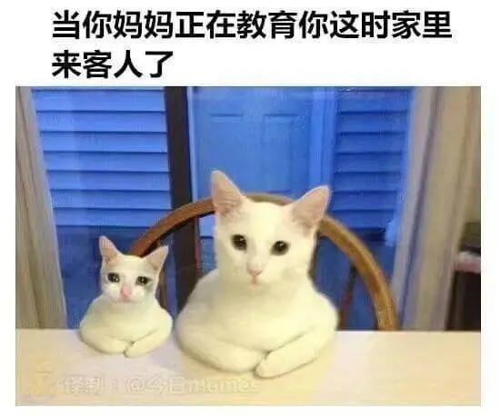 当你妈妈正在教育你这时，家里来客人了