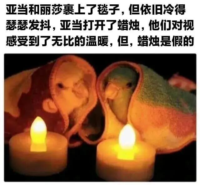 亚当和丽莎裹上了毯子，但依旧冷得瑟瑟发抖，亚当打开了蜡烛，他