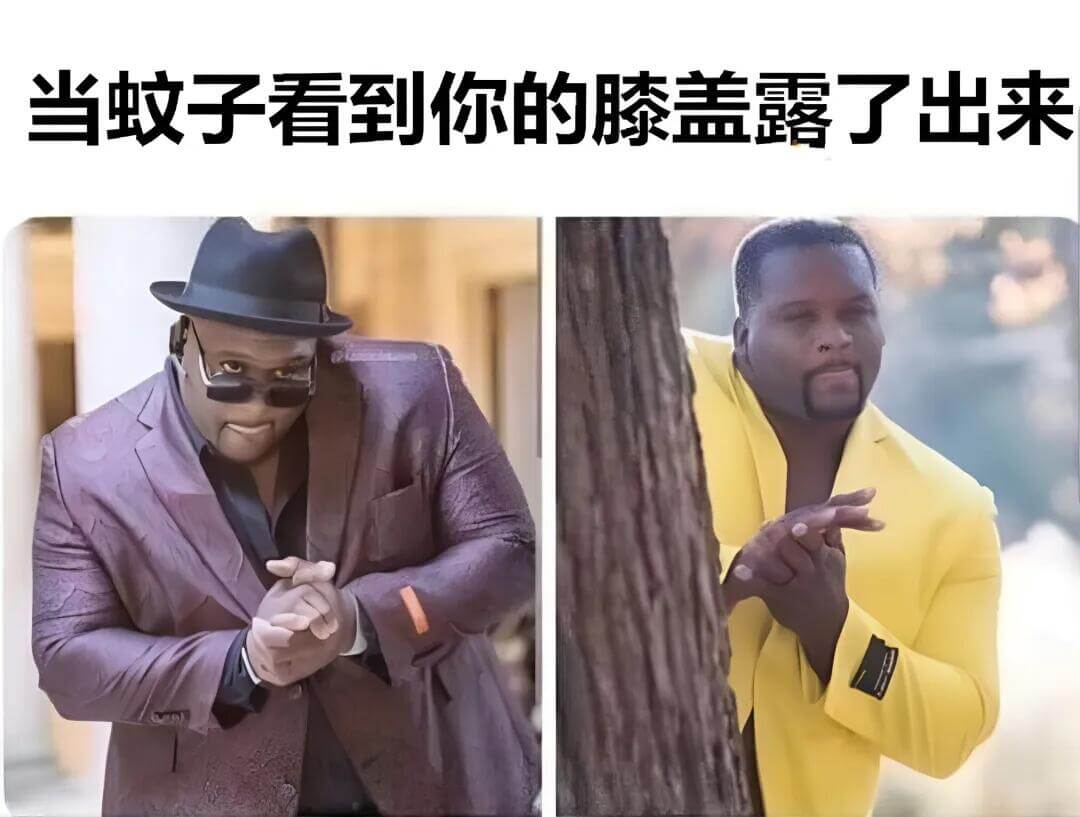 当蚊子看到你的膝盖露了出来