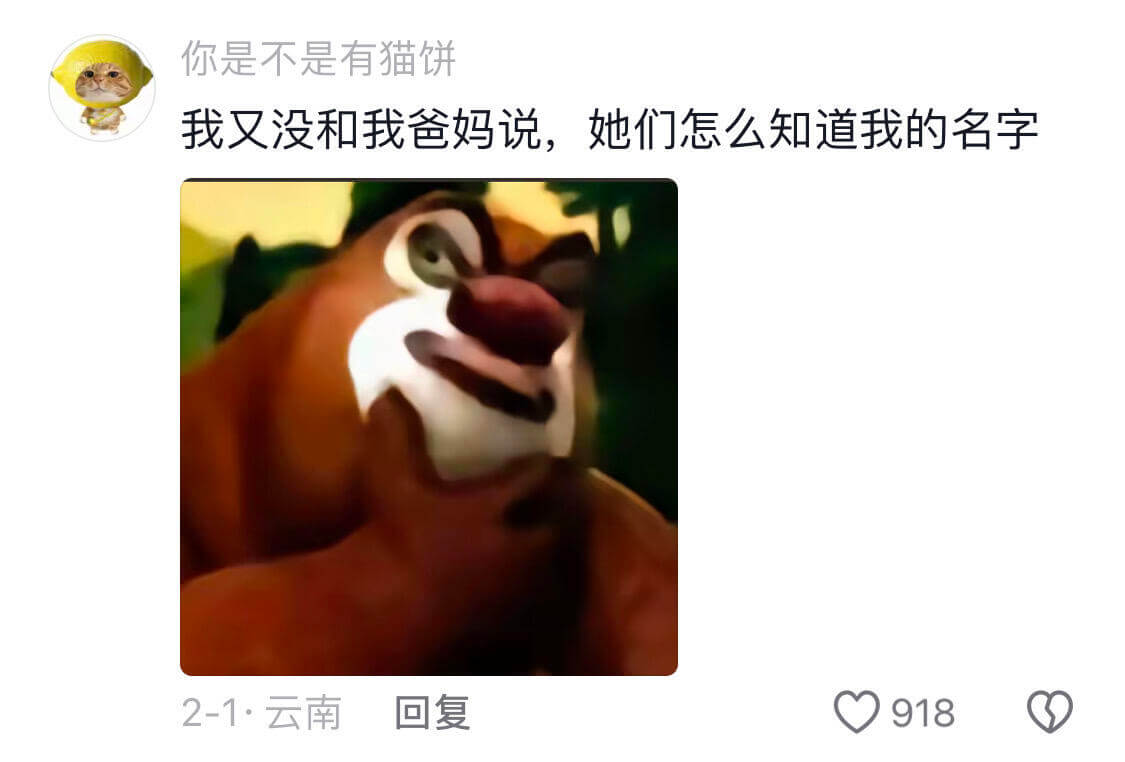 你是不是有猫饼我又没和我爸妈说，她们怎么知道我的名字2-1.