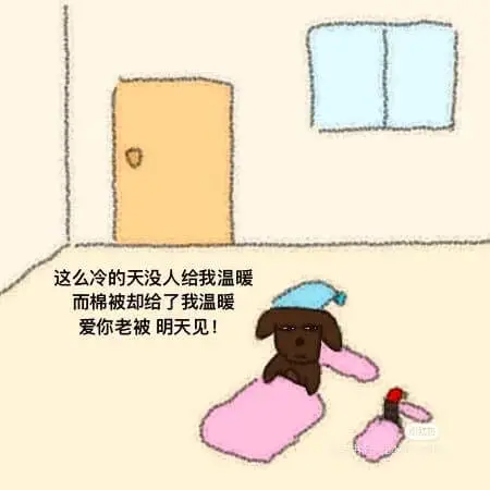 这么冷的天没人给我温暖而棉被却给了我温暖爱你老被，明天见！