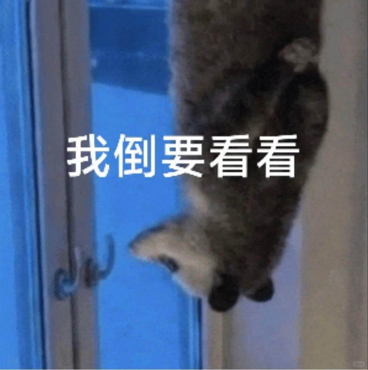 我倒要看看