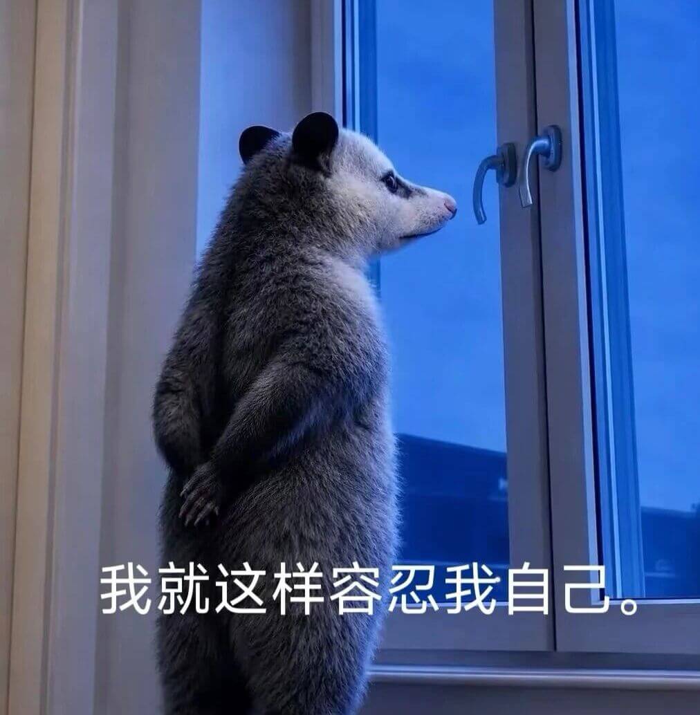 我就这样容忍我自己