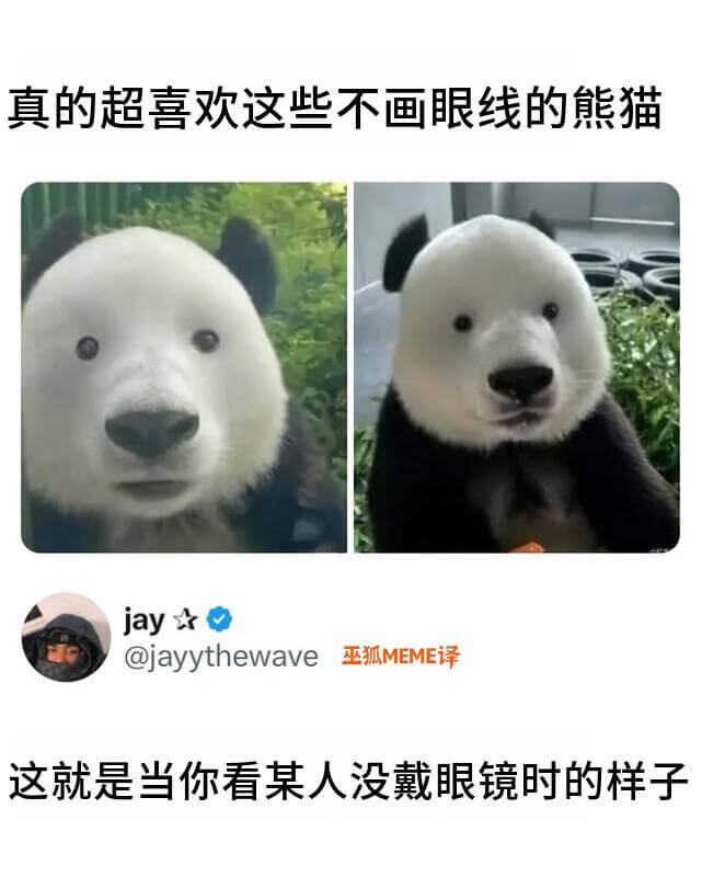 真的超喜欢这些不画眼线的熊猫jay★@jayythewave