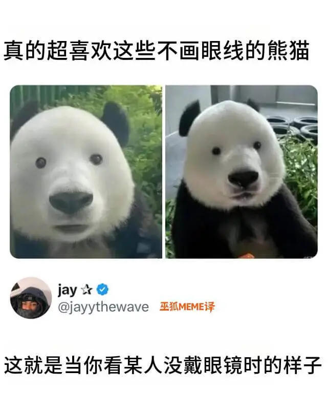 真的超喜欢这些不画眼线的熊猫jay★@jayythewave