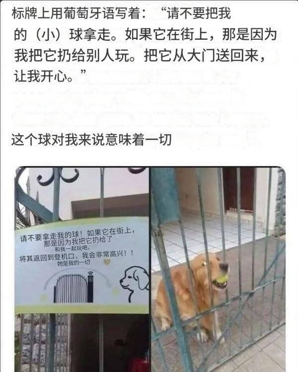 标牌上用葡萄牙语写着：“请不要把我的（小）球拿走。如果它在街