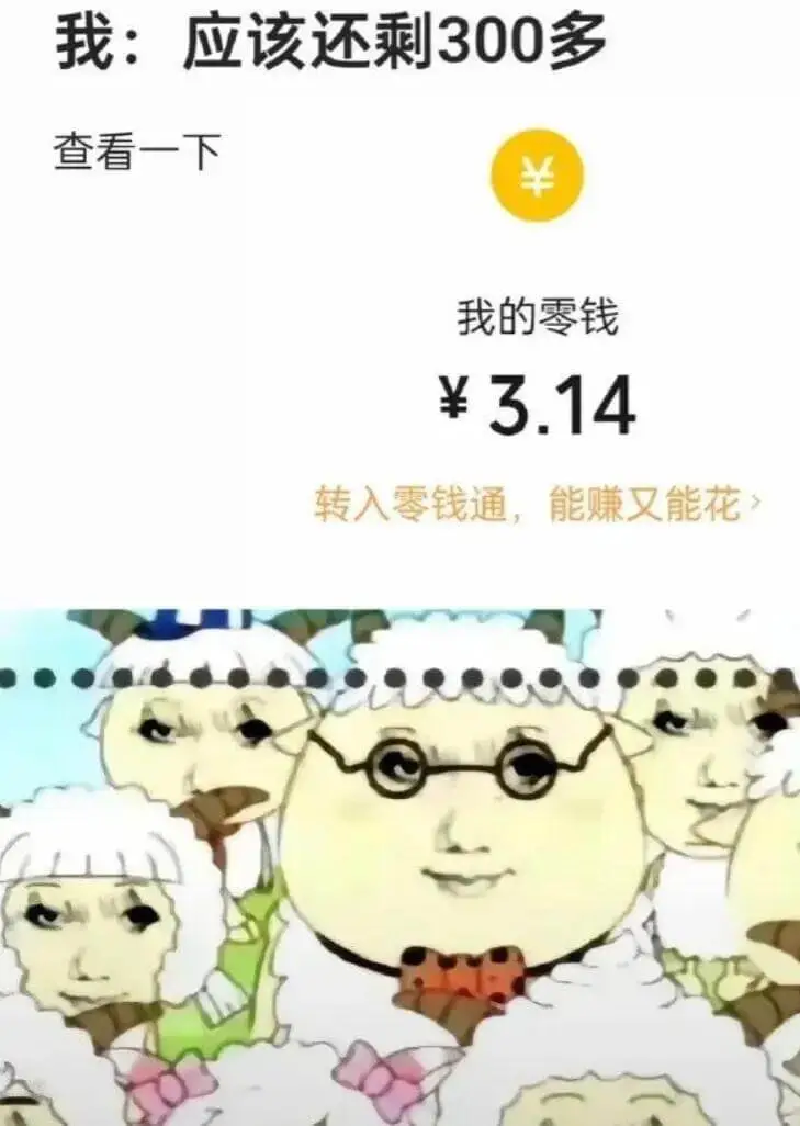我:应该还剩300多查看一下我的零钱¥3.14转入零钱通，能