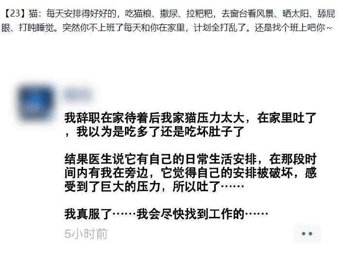 23猫:每天安排得好好的，吃猫粮、撒尿、拉粑粑，去窗台看风景