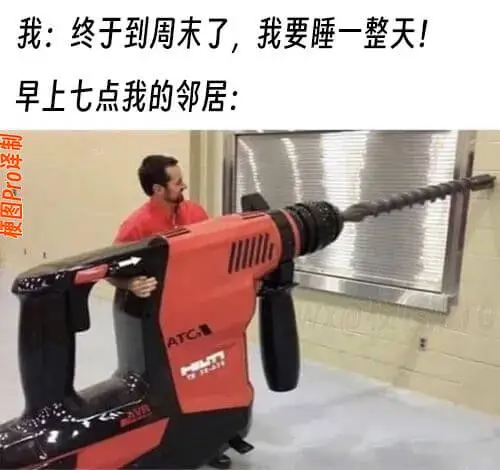 我:终于到周末了，我要睡一整天!