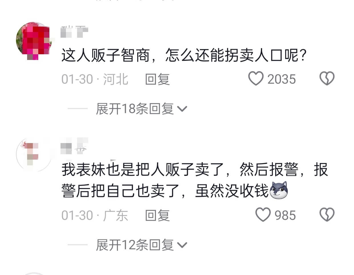 这人贩子智商，怎么还能拐卖人口呢？01-30·河北回复203