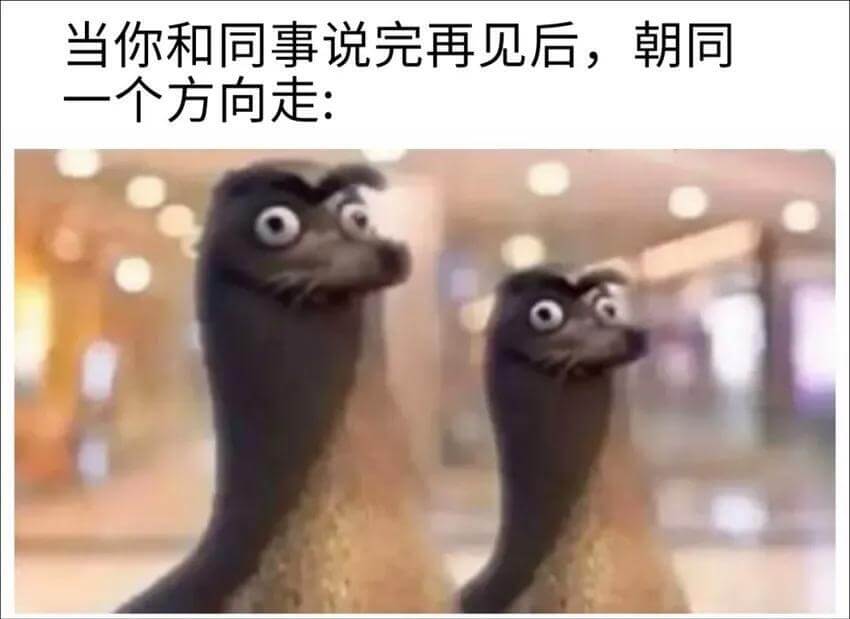 当你和同事说完再见后，朝同一个方向走：