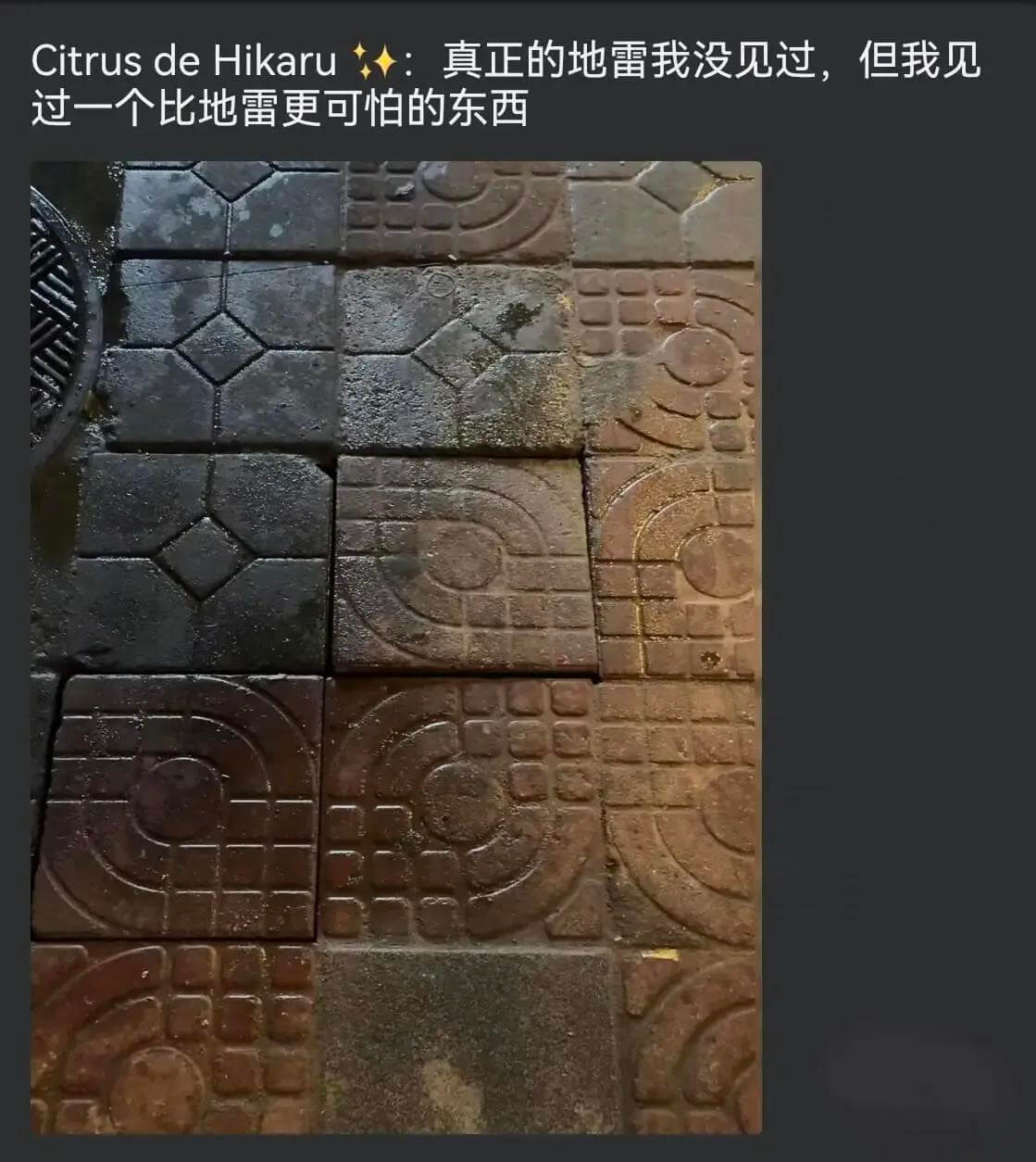 CitrusdeHikaru真正的地雷我没见过，但我见过一个