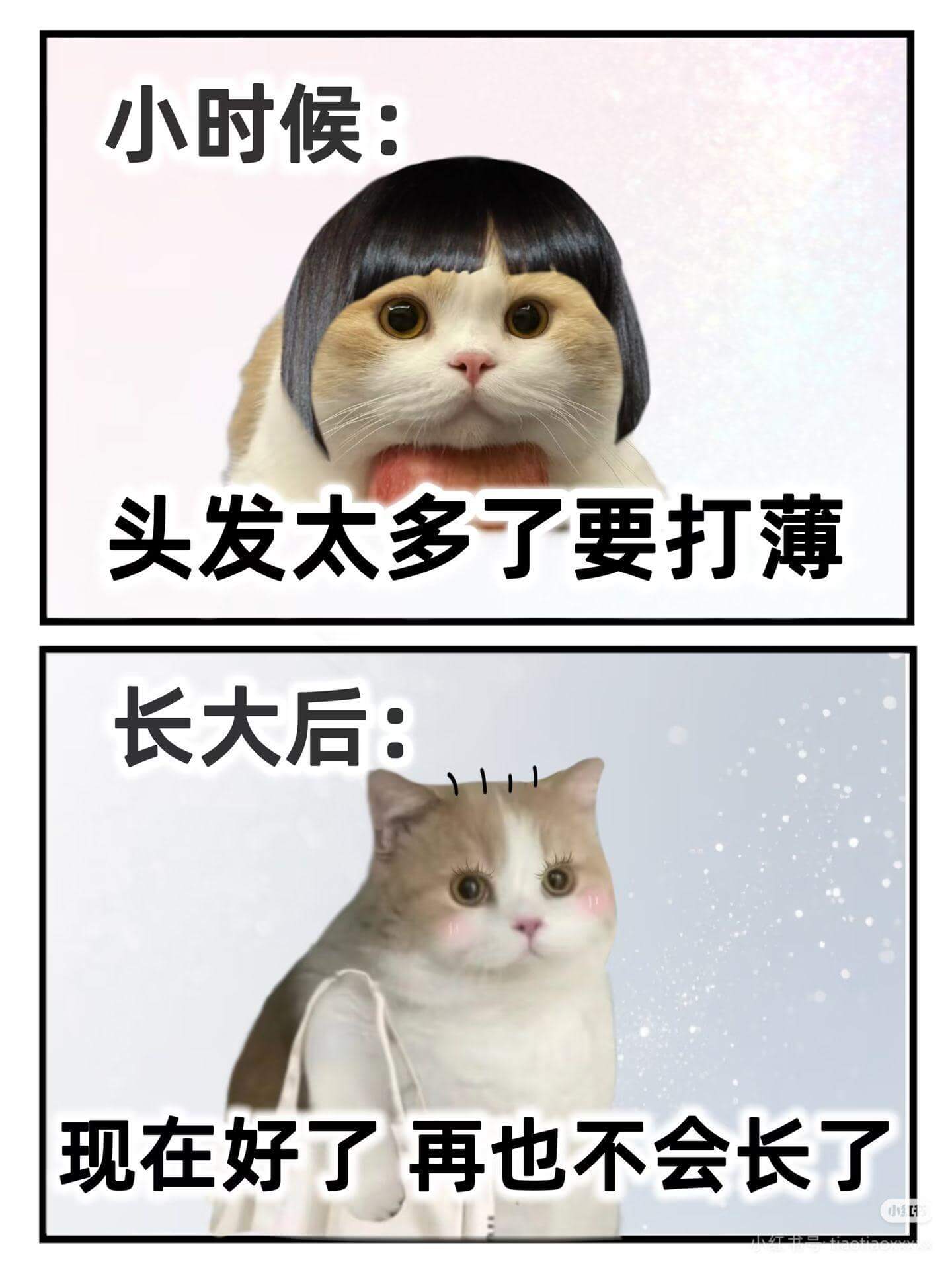 小时候:头发太多了要打薄长大后:现在好了,再也不会长了