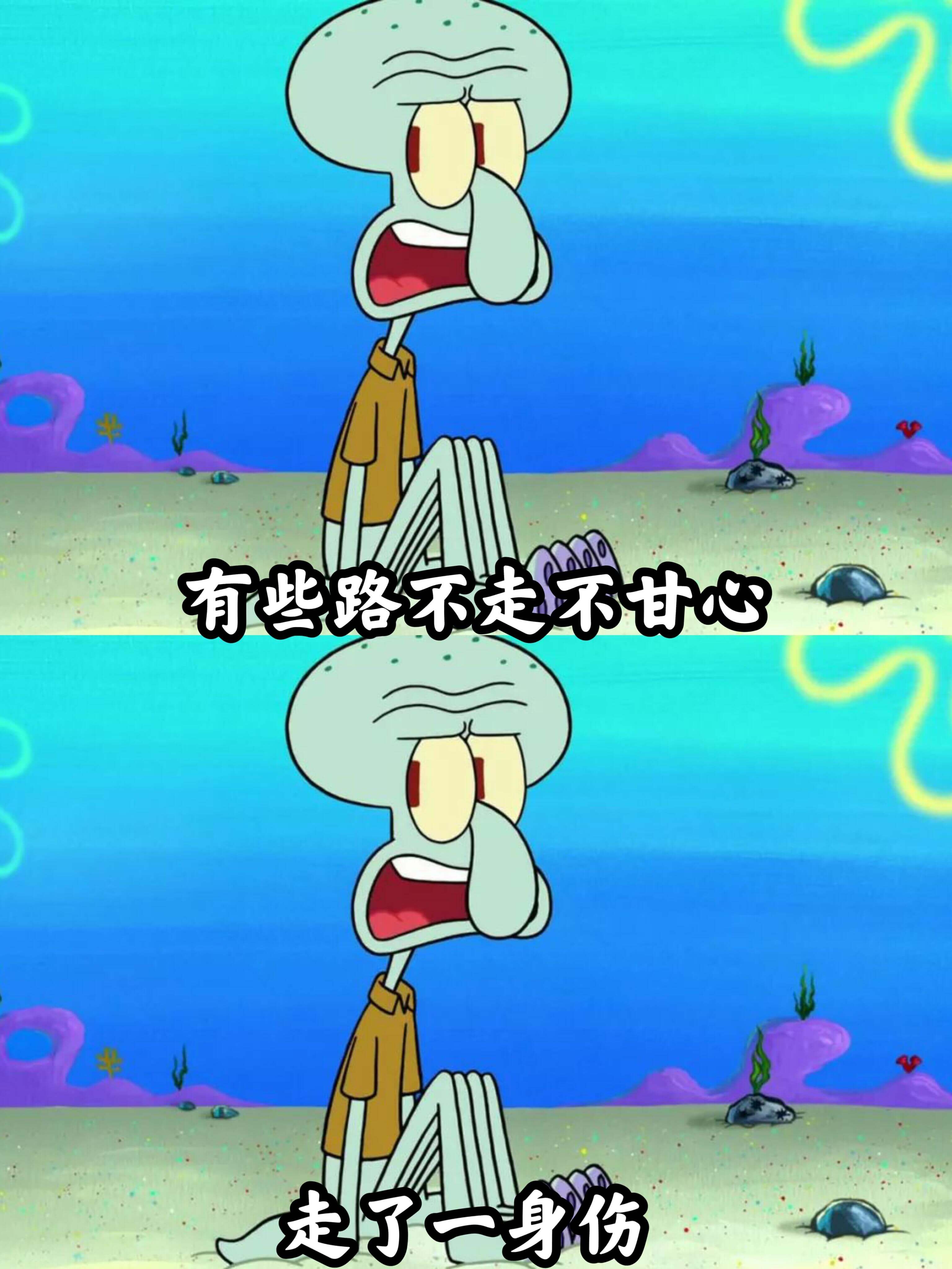 有些路不走不甘心，走了一身伤。