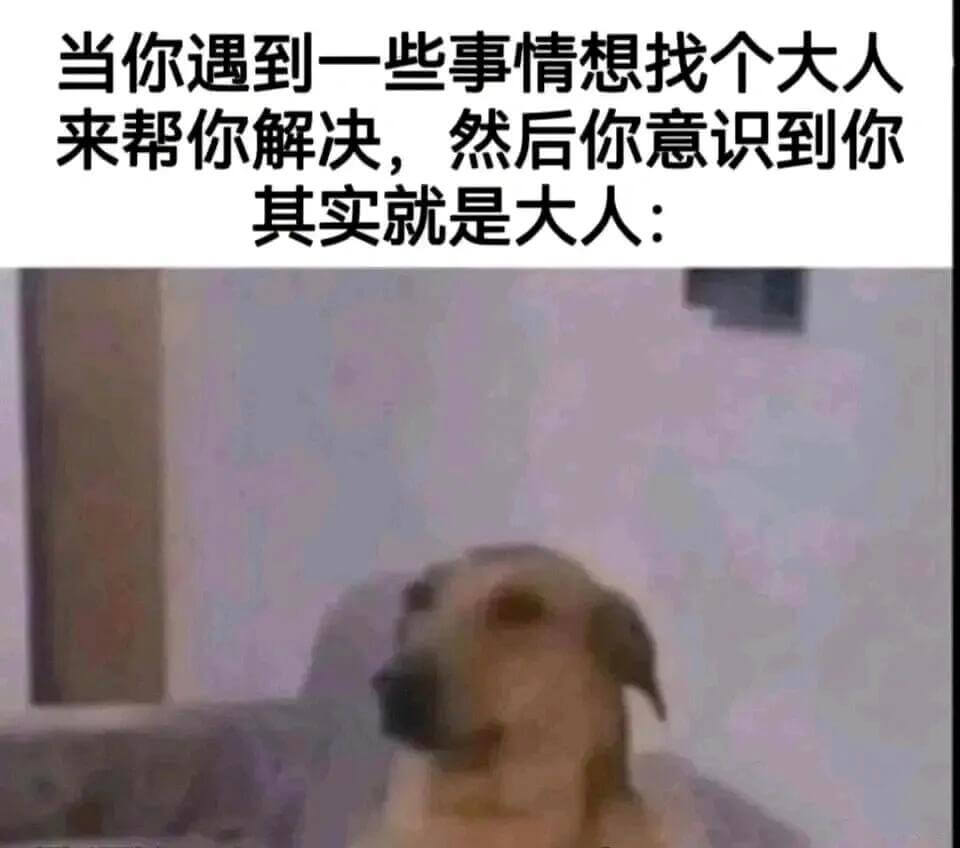 当你遇到一些事情想找个大人来帮你解决，然后你意识到你其实就是