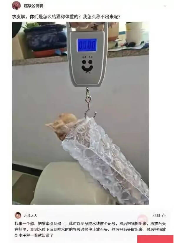 求皮解，你们是怎么给猫称体重的？我怎么称不出来呢？北挽大人4