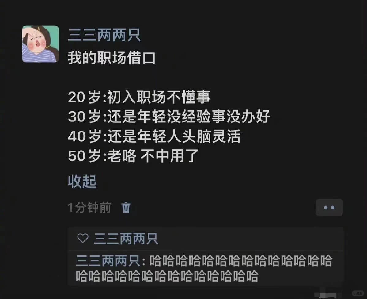 三三两两只我的职场借口20岁:初入职场不懂事30岁:还是年轻