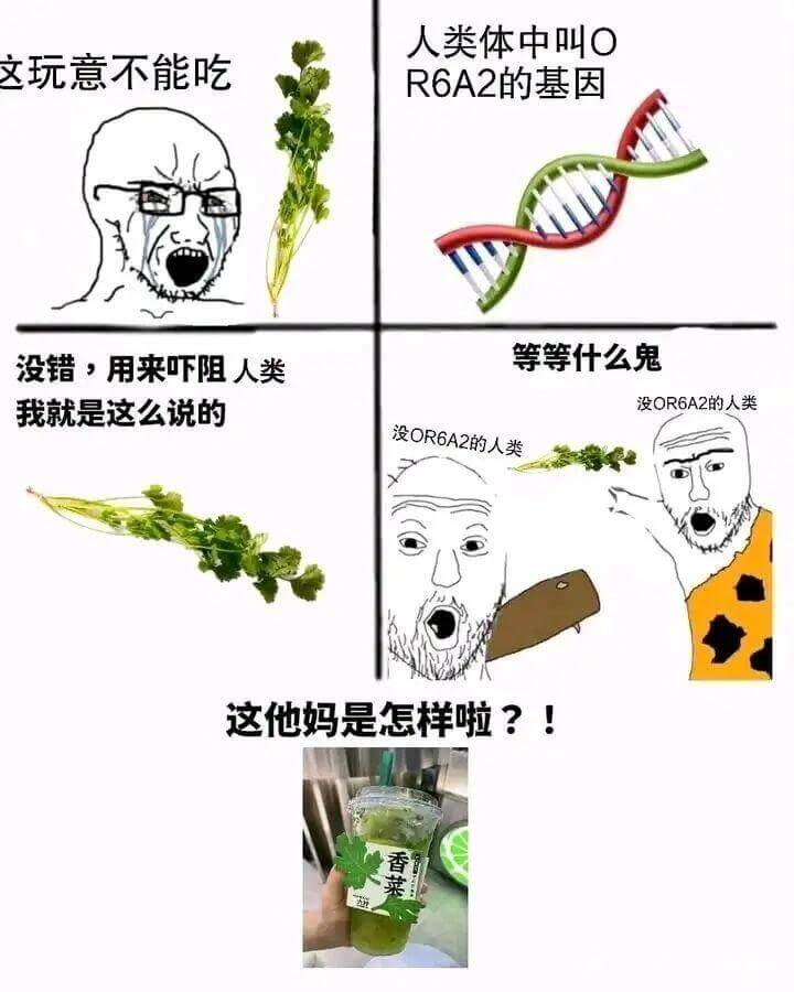 人类体中叫○,这玩意不能吃。R6A2的基因,没错,用来吓阻人