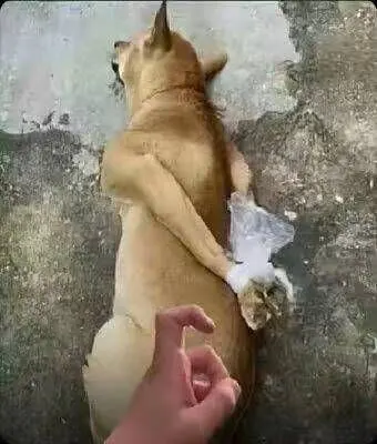 蛤？